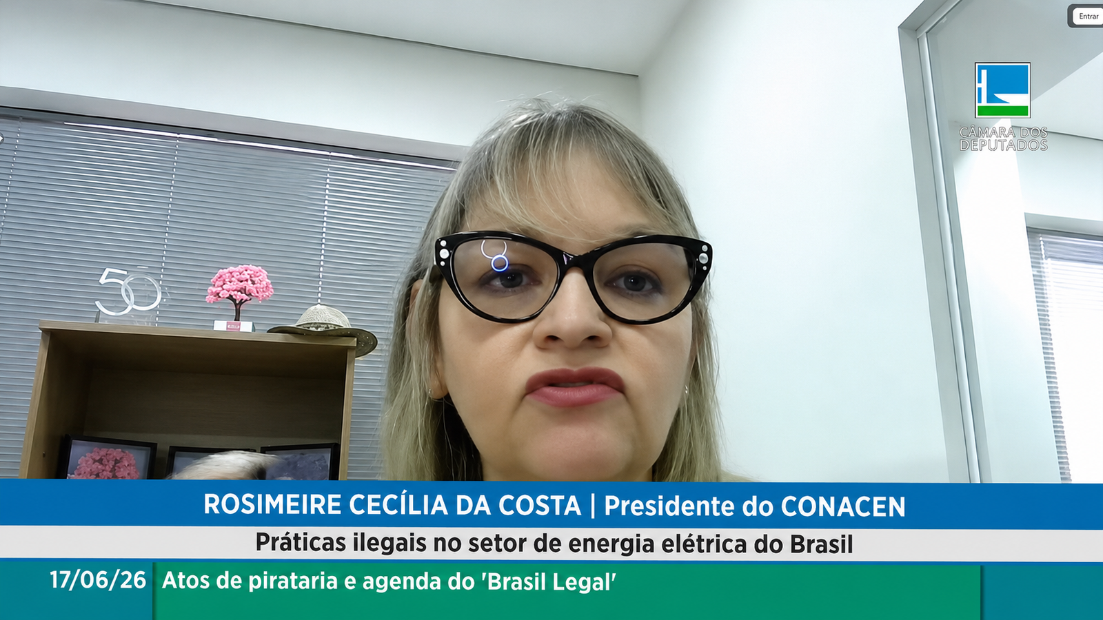 Rosimeire Costa defende punições mais rigorosas contra furto de energia em audiência na Câmara dos Deputados