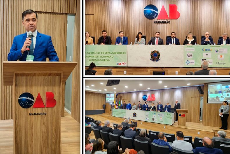 ANEEL participa de workshop sobre o papel dos conselhos de consumidores de energia