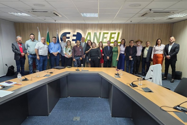 Concen participa de reunião na Aneel com Conselhos das áreas de concessão da Energisa