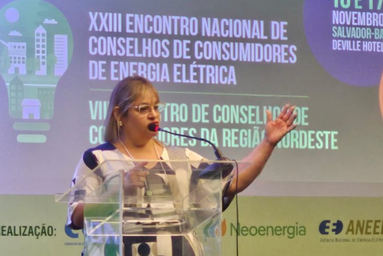 Líderes do setor elétrico debatem transição energética e desoneração para consumidores