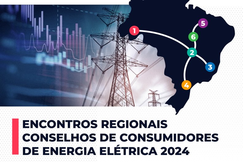 Agenda dos encontros de Conselhos de Consumidores de Energia Elétrica 2024
