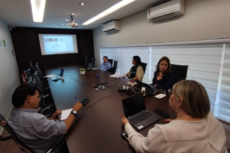 ANEEL discute melhorias na atuação dos conselhos de consumidores de energia elétrica