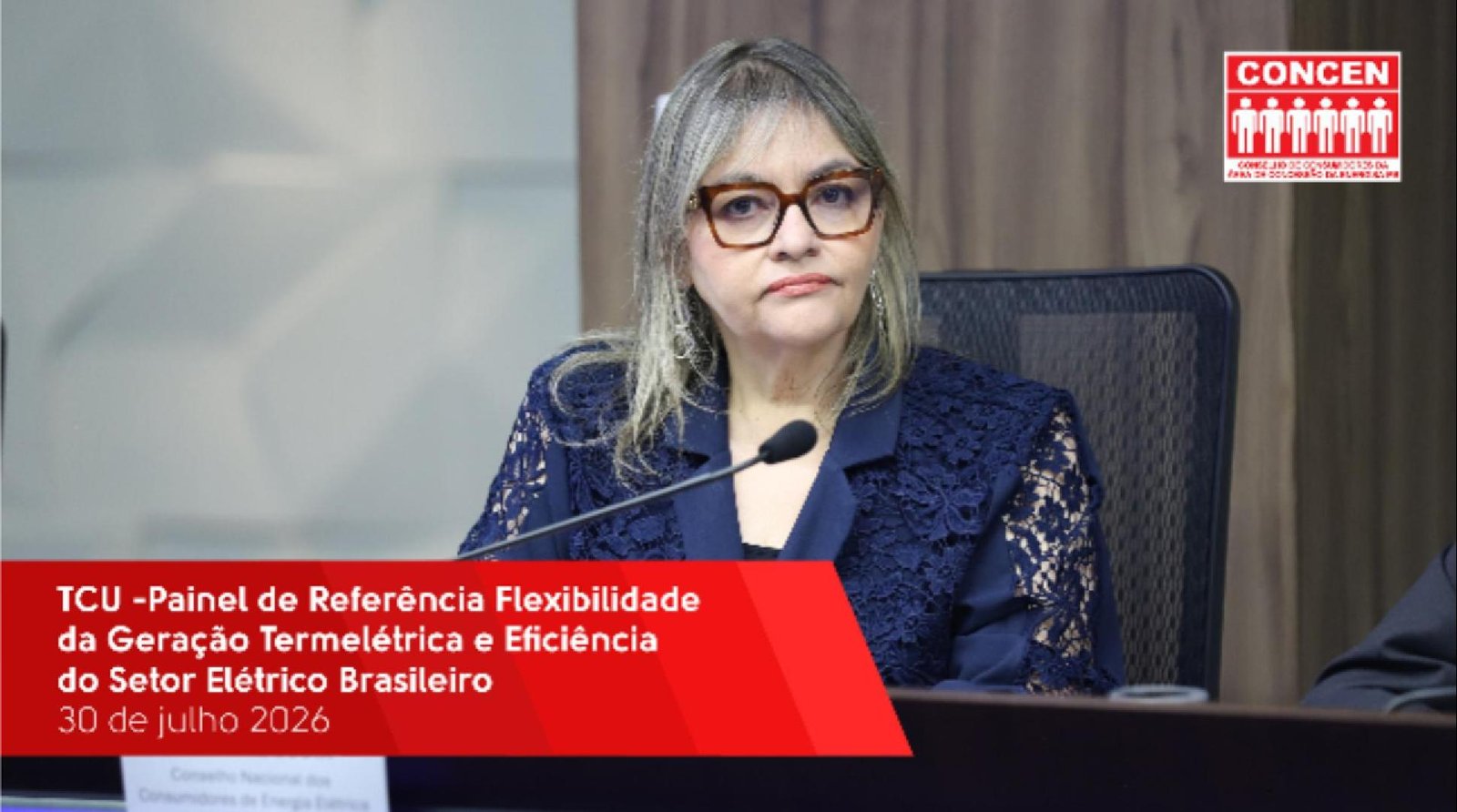TCU - Painel Flexibilidade da Geração Termelétrica e Eficiência do Setor Elétrico Brasileiro - 30/07